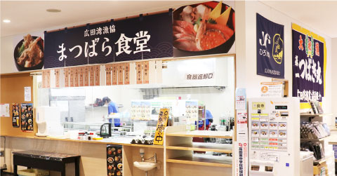 まつばら食堂 イメージ